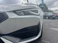 CUPRA Leon ST 2,0 TDI DSG Weiß - thumbnail 2