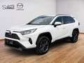 Toyota RAV 4 2,5 Hybrid Active Drive AWD Weiß - thumbnail 4