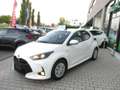 Toyota Yaris 1.5 Hybrid 5 porte Active - NEOPATENTATI Bianco - thumbnail 3