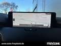 Mazda CX-60 3.3L e-SKYACTIV D 254ps AWD Homura COSO Grau - thumbnail 14