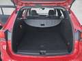 Opel Astra ST 1,2 Turbo Direct Inj. Edition Rot - thumbnail 13