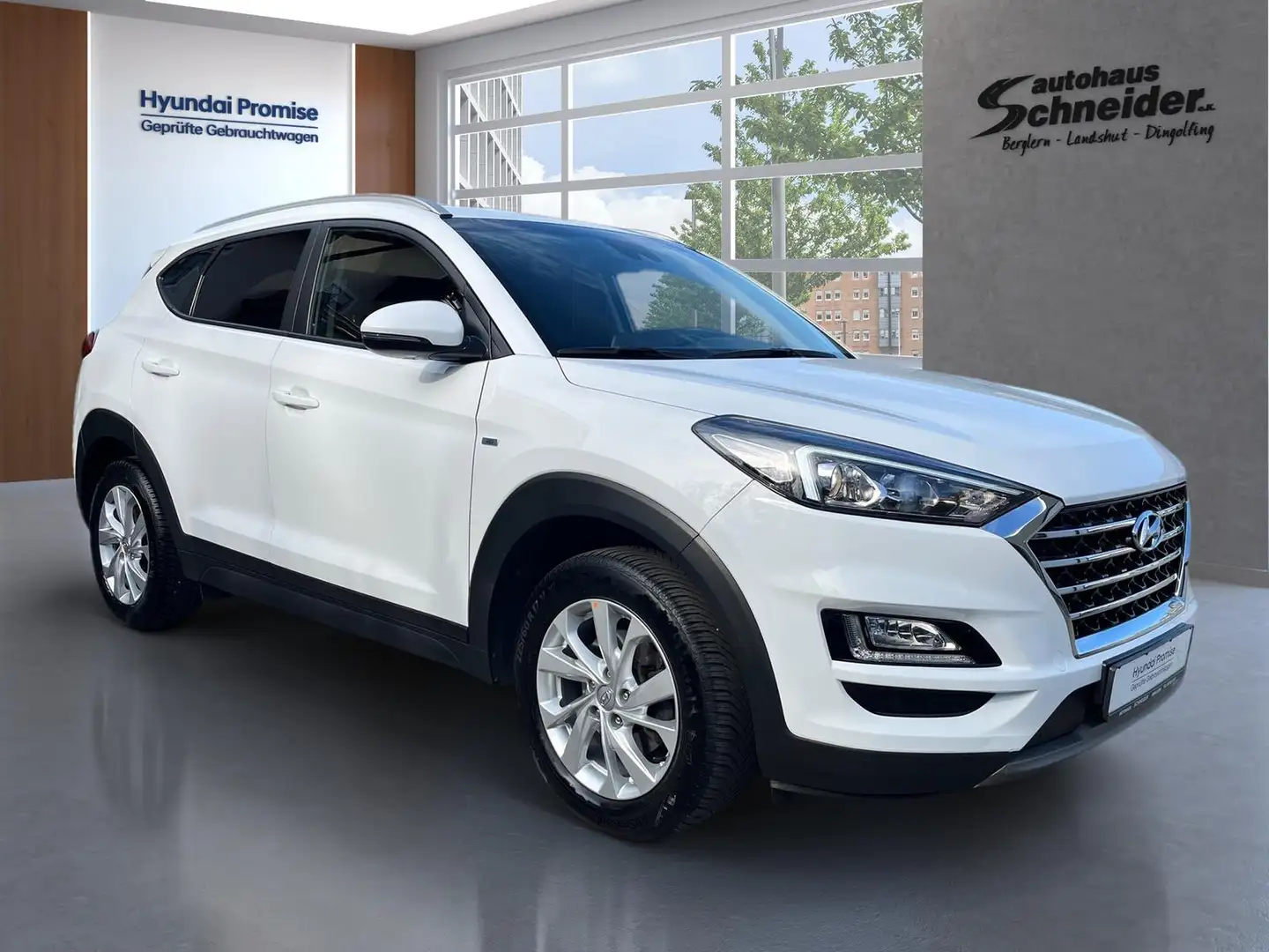 Hyundai TUCSON 1.6 CRDi 48V 7DCT TREND AHK/NAVI/DAB/KAMERA Weiß - 2