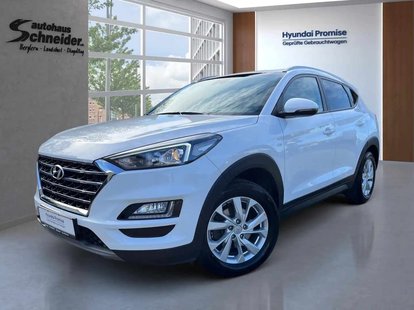 Hyundai TUCSON 1.6 CRDi 48V 7DCT TREND AHK/NAVI/DAB/KAMERA Weiß - 1