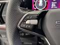 Skoda Kodiaq 1.5 mhev sportline 130 edition 150cv dsg 7p.ti Grau - thumbnail 19