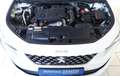 Peugeot 508 1,5 BlueHDi 130 EAT8 S&S GT Line Aut. -- Automa... Weiß - thumbnail 13