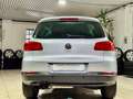 Volkswagen Tiguan Tiguan*Lounge*1,4 TSI*DSG*Sport & Style*AHK*RFK* Argent - thumbnail 4