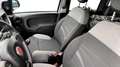 Fiat New Panda 1.0 FireFly Hybrid City Life Grau - thumbnail 12
