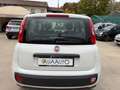Fiat Panda UNICO-PR 1.2 easypower Lounge Gpl Wit - thumbnail 11