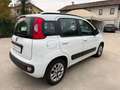 Fiat Panda UNICO-PR 1.2 easypower Lounge Gpl Wit - thumbnail 3