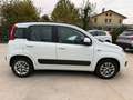 Fiat Panda UNICO-PR 1.2 easypower Lounge Gpl Wit - thumbnail 8
