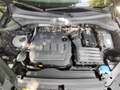 Volkswagen Tiguan Tiguan 2.0 TDi SCR 4Motion Active DSG Noir - thumbnail 8