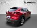 Mazda CX-30 2.0 Schaltgetriebe - Selection AWD Rot - thumbnail 5