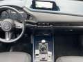 Mazda CX-30 2.0 Schaltgetriebe - Selection AWD Rot - thumbnail 15