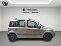 Fiat Panda 1.2 Emotion eco *102.000 KM* Oro - thumbnail 4