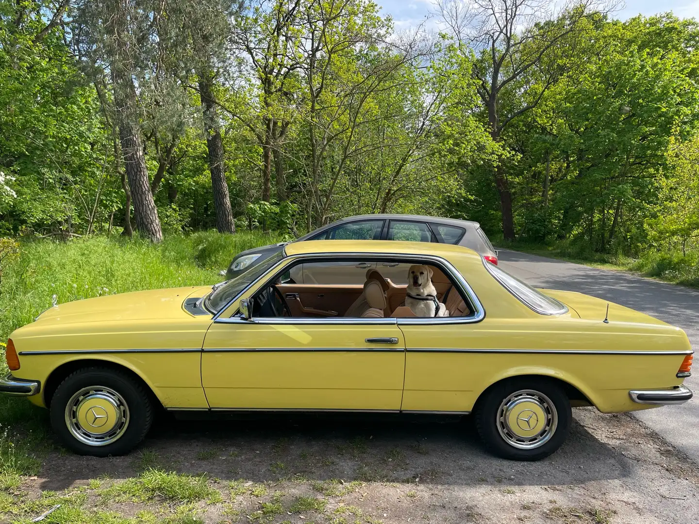 Mercedes-Benz C 230 Желтый - 2