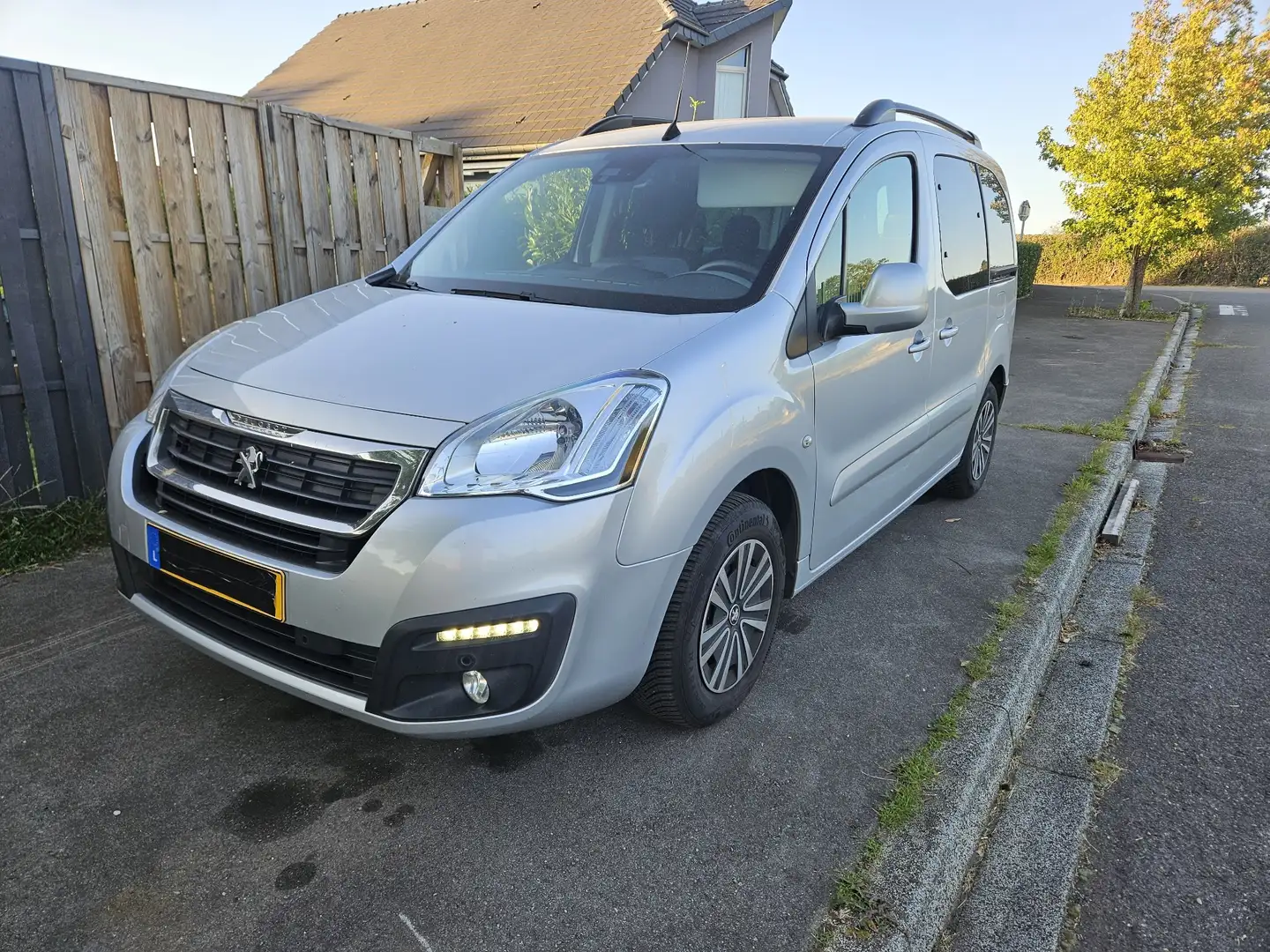 Peugeot Partner Tepee 1.6 BlueHDi 100ch S&S ETG6 Active - 1
