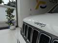 Jeep Renegade 1.3 T4 DDCT Limited navi tua da e169,00 mensili Bianco - thumbnail 7