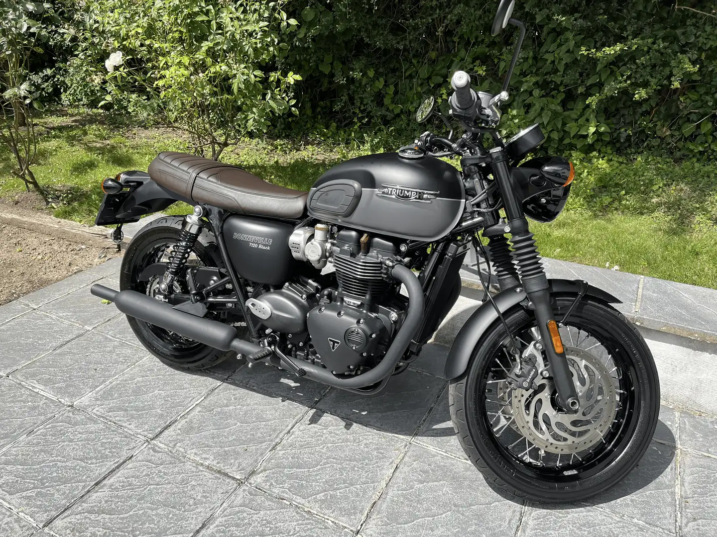 Triumph Bonneville T120 Black Matt Noir - 2