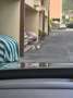 Volvo XC90 2.0 b5 Inscription awd 7p.ti geartronic my20 - thumbnail 2