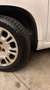 Fiat Panda Panda 1.2 Lounge 69cv E6 Blanco - thumbnail 9