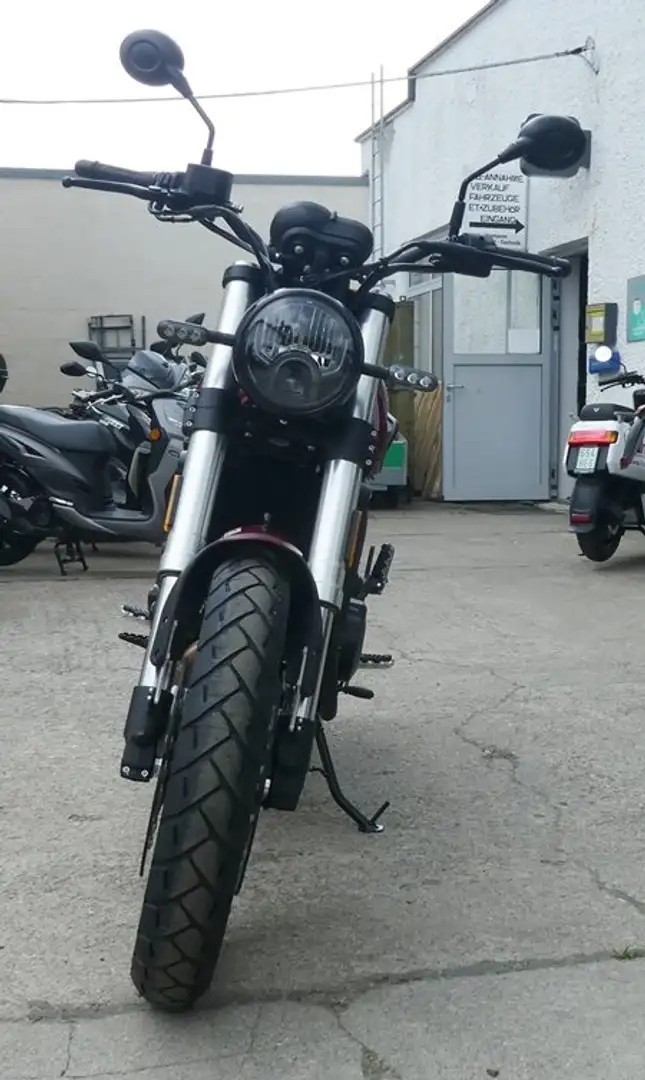 Benelli Leoncino LEONCINO 500 TRAIL - ANGEBOT! Rouge - 1