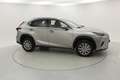 Lexus NX 300h BUSINESS NAVI. 2.5 HYBRID 197 CV AUTO 5P 2WD - thumbnail 5