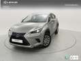 Lexus NX 300h BUSINESS NAVI. 2.5 HYBRID 197 CV AUTO 5P 2WD - thumbnail 1