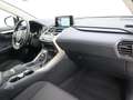 Lexus NX 300h BUSINESS NAVI. 2.5 HYBRID 197 CV AUTO 5P 2WD - thumbnail 12