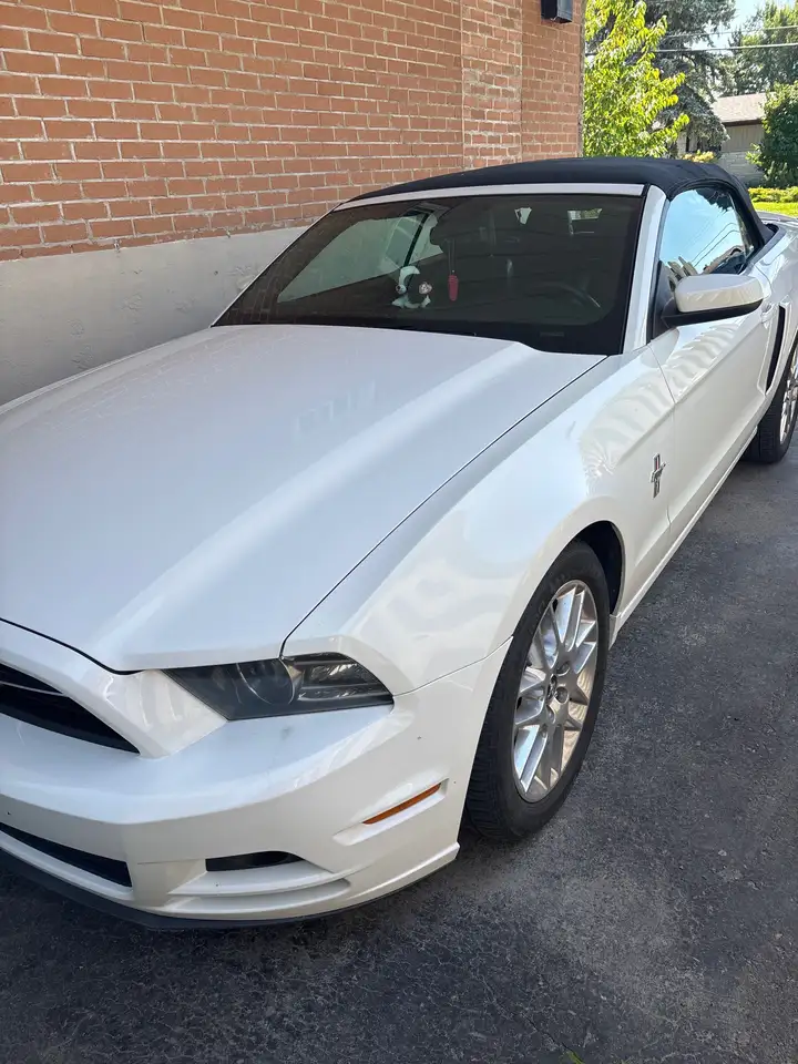Ford Mustang fotografie Ford Mustang