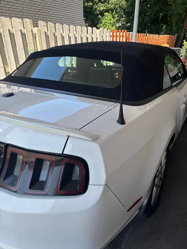 Ford Mustang fotografie Ford Mustang