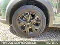 Dacia Sandero Stepway Extreme+ TCe 110 Grün - thumbnail 12