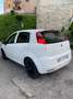 Fiat Grande Punto 5p 1.3 mjt 16v Active c/clima 75cv White - thumbnail 2