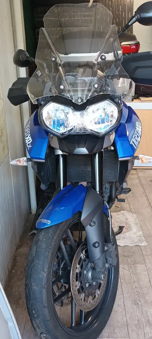 Triumph Tiger 800 xrx Albastru - 1