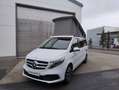Mercedes-Benz Marco Polo 250d Wit - thumbnail 1