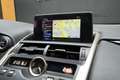 Lexus NX 300 2.5 300h business navigation 2wd Blanco - thumbnail 15