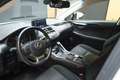 Lexus NX 300 2.5 300h business navigation 2wd Blanco - thumbnail 10