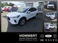 Ford Kuga 1.5L Titanium *NAVI*RÜCKFAHRK.*LED* Weiß - thumbnail 1