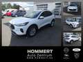 Ford Kuga 1.5L Titanium *NAVI*RÜCKFAHRK.*LED* Blanco - thumbnail 1