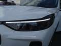 Ford Kuga 1.5L Titanium *NAVI*RÜCKFAHRK.*LED* Blanco - thumbnail 27