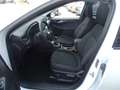 Ford Kuga 1.5L Titanium *NAVI*RÜCKFAHRK.*LED* Weiß - thumbnail 11