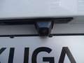 Ford Kuga 1.5L Titanium *NAVI*RÜCKFAHRK.*LED* Weiß - thumbnail 9