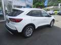 Ford Kuga 1.5L Titanium *NAVI*RÜCKFAHRK.*LED* Weiß - thumbnail 6