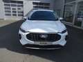 Ford Kuga 1.5L Titanium *NAVI*RÜCKFAHRK.*LED* Blanco - thumbnail 3