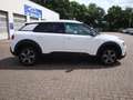 Citroen C4 Cactus C-Series - thumbnail 3