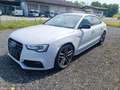Audi A5 A5 SB 2,0 TDI quattro Sport S-tronic*3*S-Line* Weiß - thumbnail 4