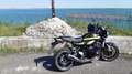 Kawasaki Z900RS Metallic green Verde - thumbnail 2