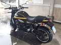 Kawasaki Z900RS Metallic green Verde - thumbnail 13