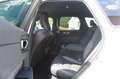Volvo XC60 R-Design Plus Dark CarP. Harman-K. 1.Hd Weiß - thumbnail 29