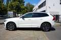 Volvo XC60 R-Design Plus Dark CarP. Harman-K. 1.Hd Weiß - thumbnail 5