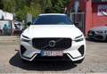 Volvo XC60 R-Design Plus Dark CarP. Harman-K. 1.Hd Weiß - thumbnail 3